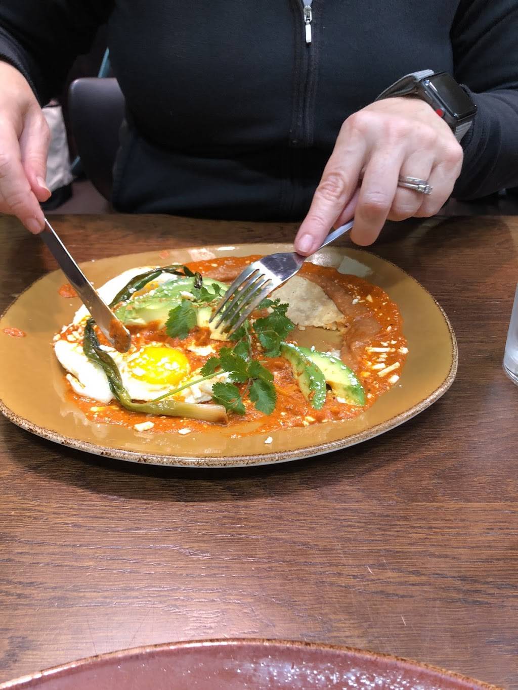 Fords Filling Station | restaurant | Los Angeles International Airport - Terminal 5, West Way, Los Angeles, CA 90045, USA | 2132350254 OR +1 213-235-0254