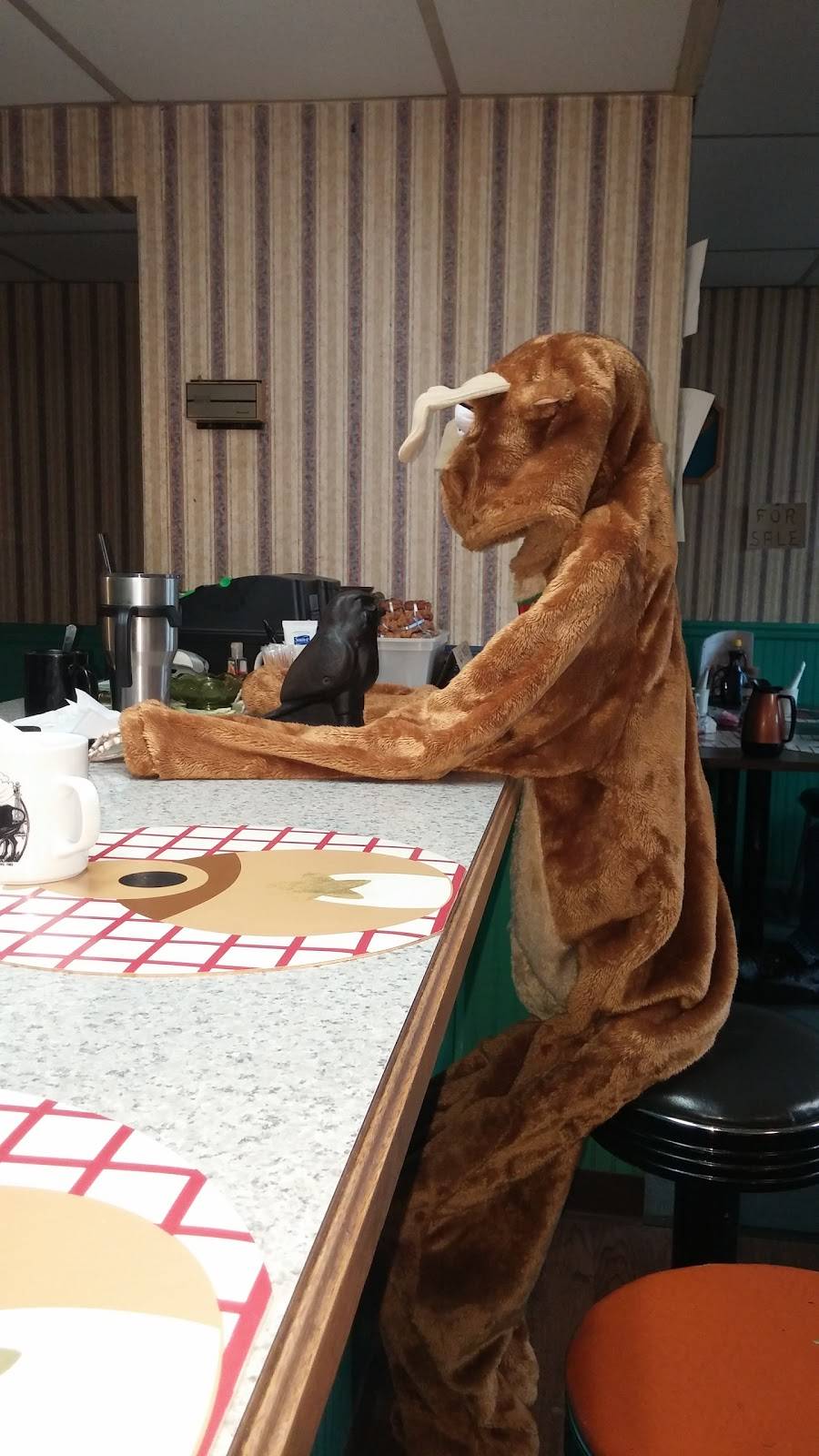 Janeys Restaurant | restaurant | 892 E Central Ave, Avis, PA 17721, USA | 5707538512 OR +1 570-753-8512