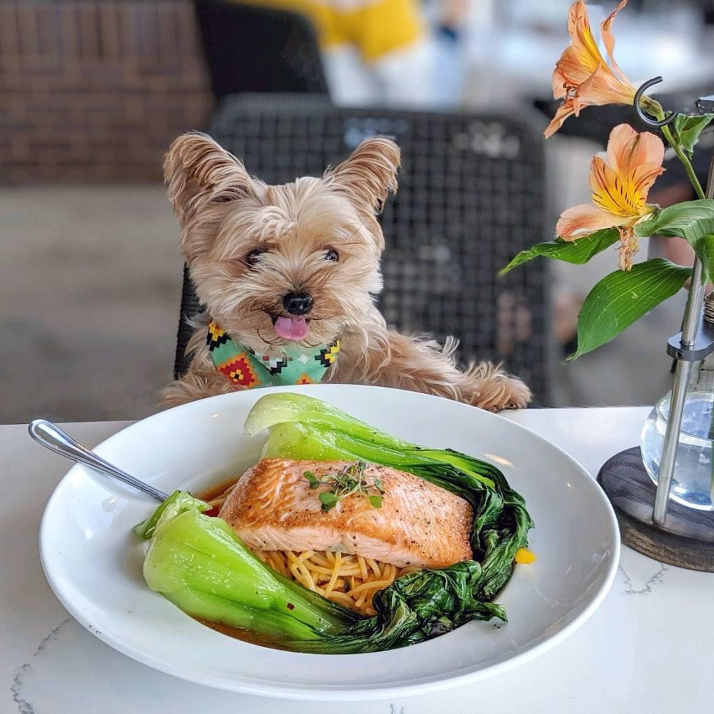 bellagreen | restaurant | 2408 Preston Rd Ste 704A, Plano, TX 75093, USA | 9729759033 OR +1 972-975-9033