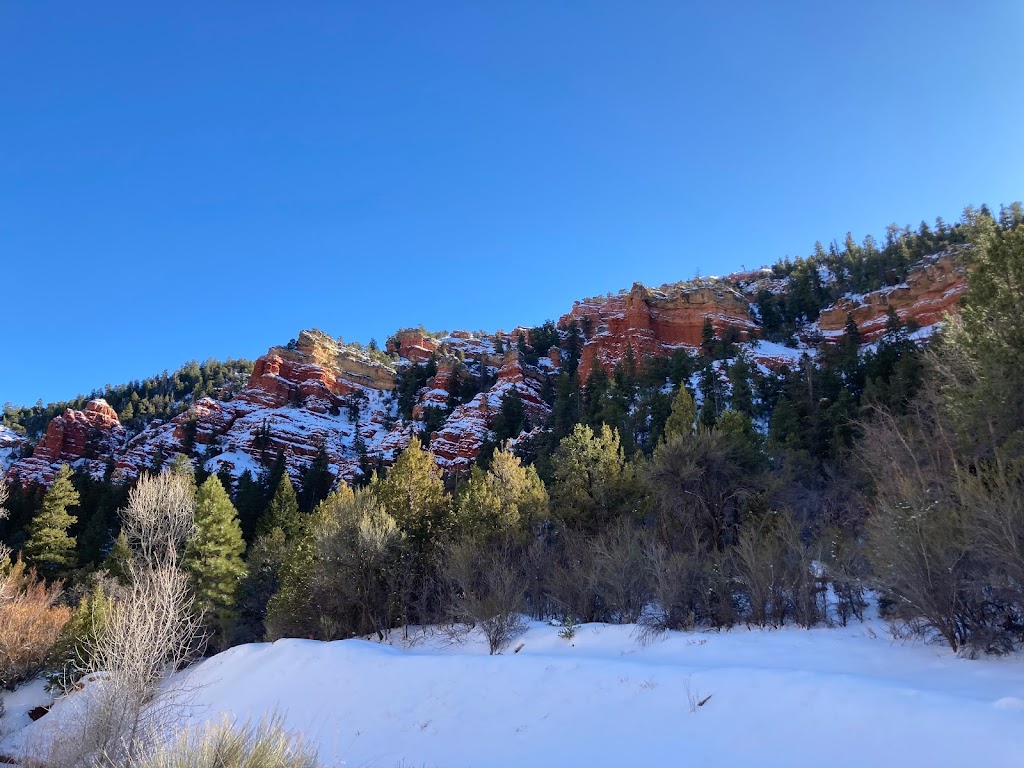 Willow Glen Resort | restaurant | 3308 N Bulldog Rd, Enoch, UT 84721, USA | 4355863275 OR +1 435-586-3275