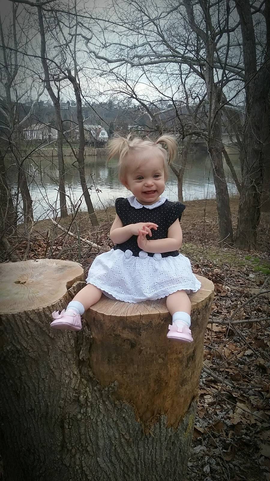 The Marietta Harbor | restaurant | 1 W Butler St, Marietta, OH 45750, USA | 7403717600 OR +1 740-371-7600