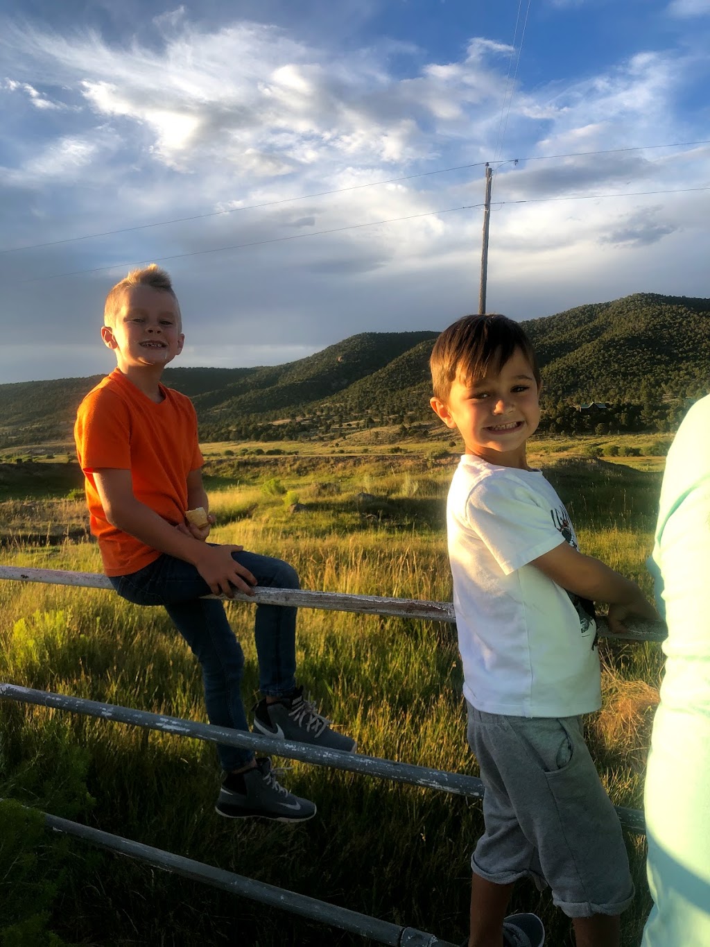 Brandin Iron Steakhouse | restaurant | 939 E Main St, Pine Valley, UT 84781, USA | 4355740440 OR +1 435-574-0440