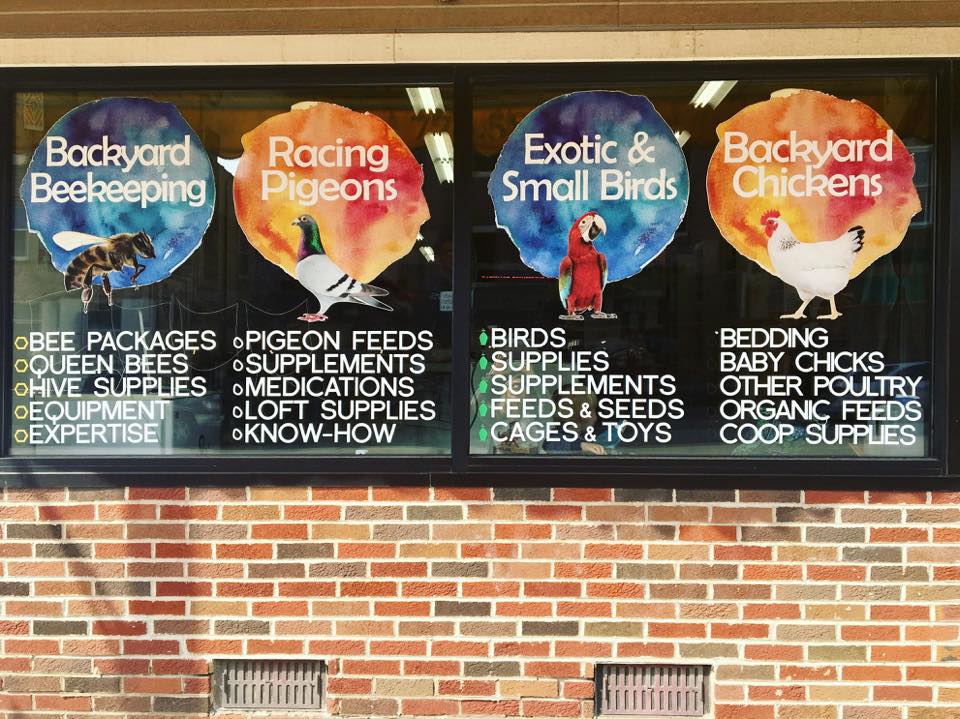 Belmont Feed & Seed | restaurant | 3036 W Belmont Ave, Chicago, IL 60618, USA | 7735881144 OR +1 773-588-1144