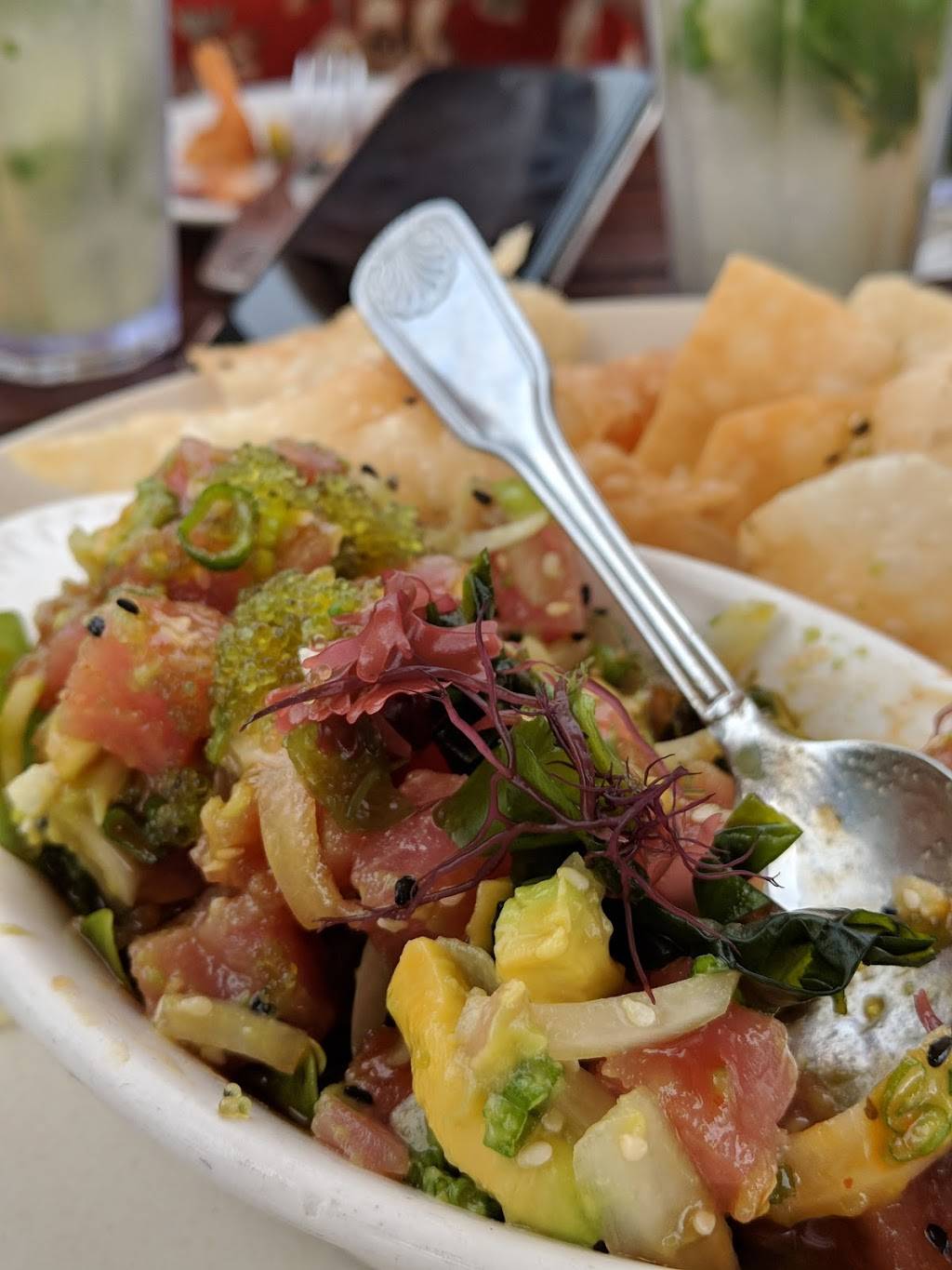 Rooftop Lounge | night club | 1289 South Coast Highway, 4th Floor, Laguna Beach, CA 92651, USA | 9494972446 OR +1 949-497-2446