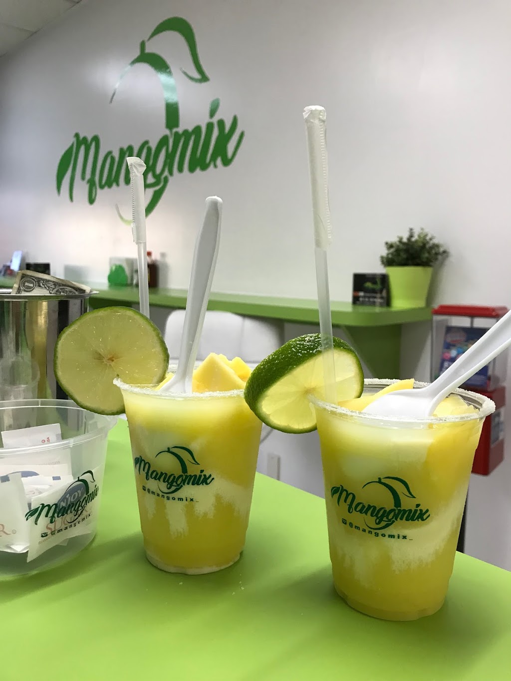 Mangomix | restaurant | 12859 US-301, Riverview, FL 33578, USA | 8132448559 OR +1 813-244-8559