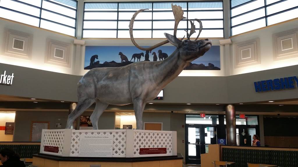 West Gardiner Service Plaza | restaurant | West Gardiner, ME 04345, USA | 2078354040 OR +1 207-835-4040