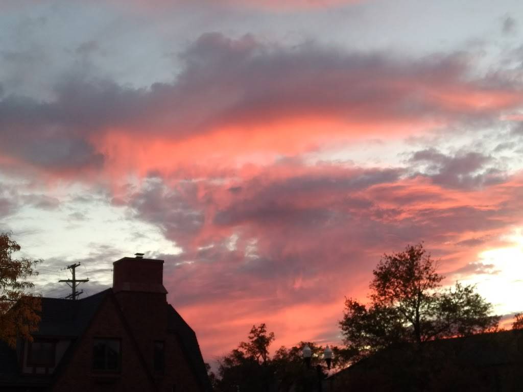 Guss Carry Out Brighton | meal takeaway | 8694 Grand River Ave, Brighton, MI 48116, USA | 8102276003 OR +1 810-227-6003