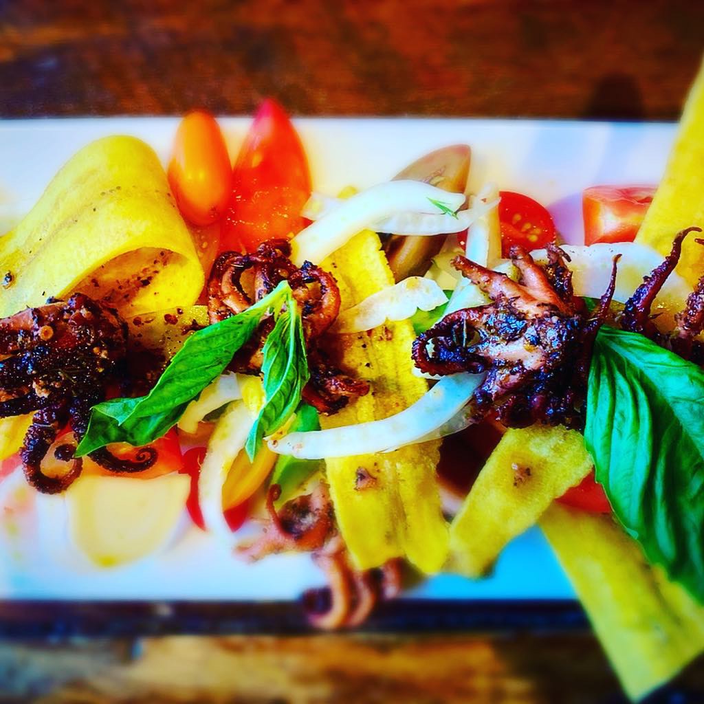 Orinoco: A Latin Kitchen | restaurant | 477 Shawmut Ave, Boston, MA 02118, USA | 6173697075 OR +1 617-369-7075