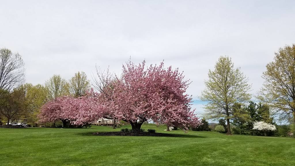 Honey Run Golf Club | restaurant | 3131 S Salem Church Rd, York, PA 17408, USA | 7177929771 OR +1 717-792-9771