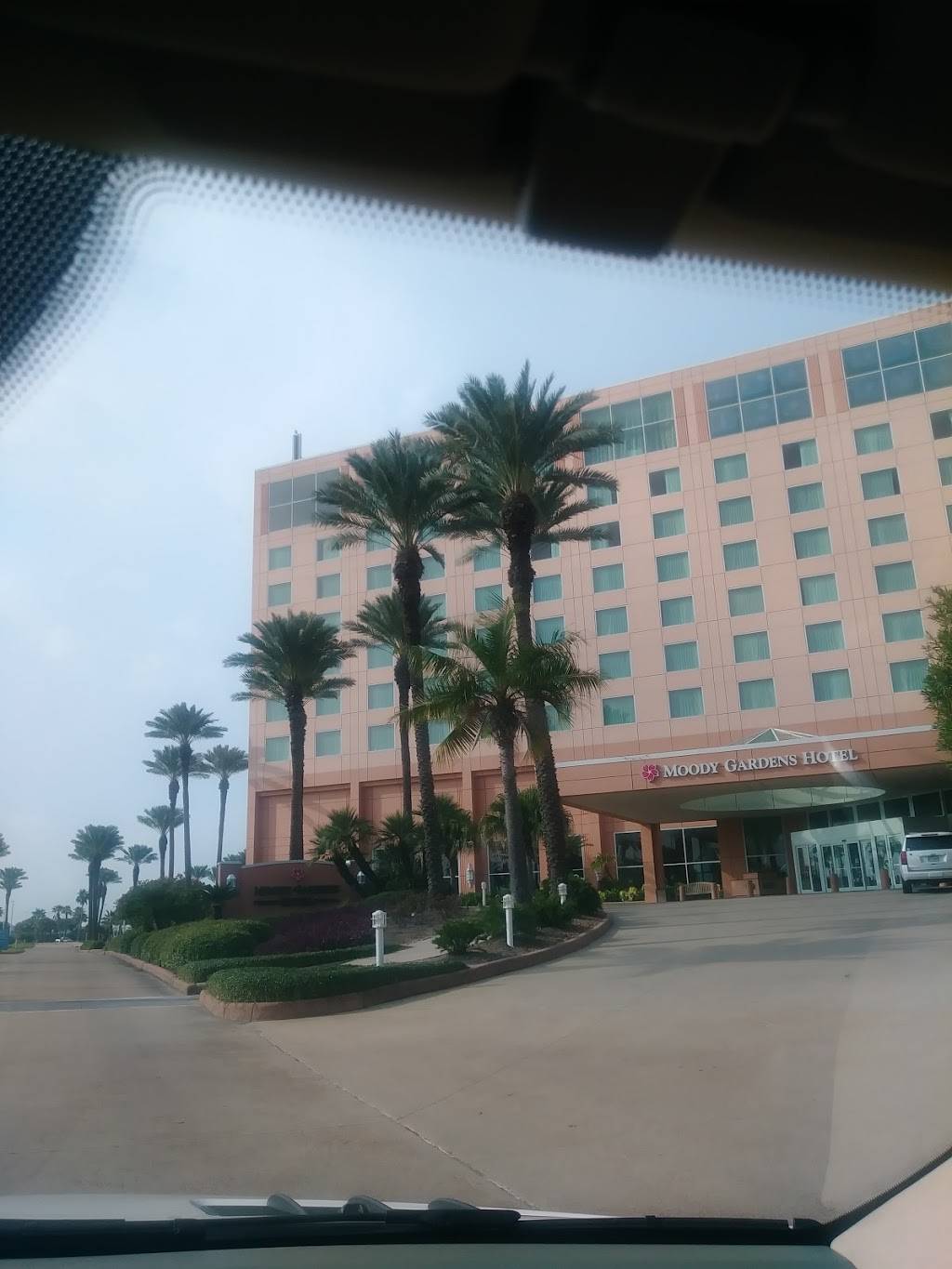 Shearns Seafood and Prime Steaks | restaurant | 7 Hope Blvd, Galveston, TX 77554, USA | 4096834554 OR +1 409-683-4554