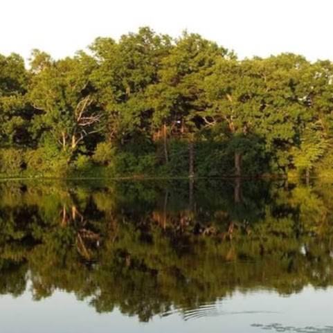 Rochester North-Oakland Elks Lodge | restaurant | 3100 Pond Rd, Leonard, MI 48367, USA | 2485727118 OR +1 248-572-7118