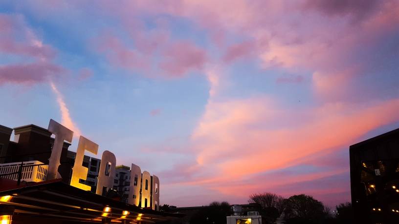 Tea Bar Tea Co. | restaurant | 203 1st St, College Station, TX 77840, USA | 8066792447 OR +1 806-679-2447