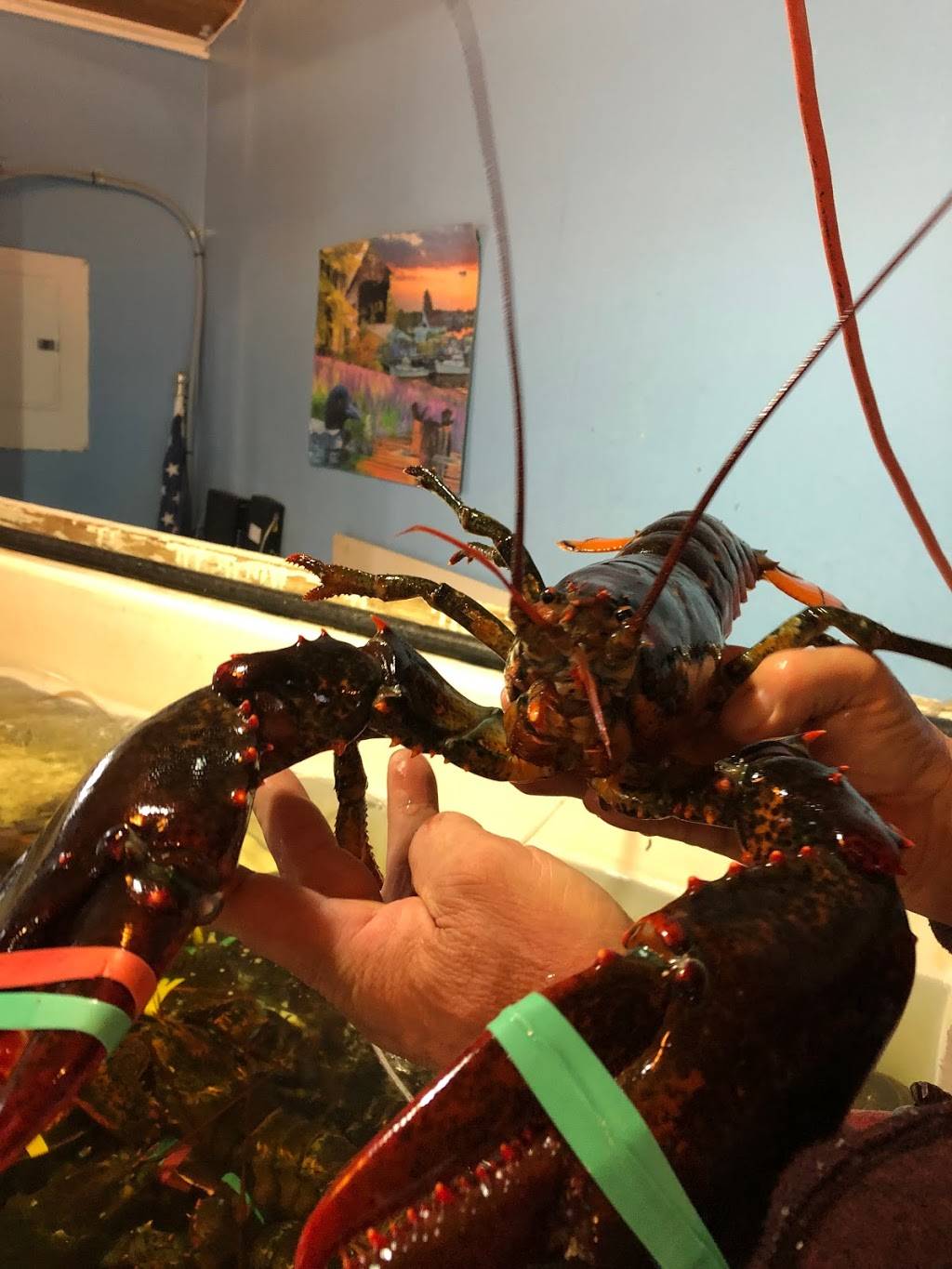 Creamers Shellfish | restaurant | 3220 Atlantic Hwy, Waldoboro, ME 04572, USA | 2077902235 OR +1 207-790-2235