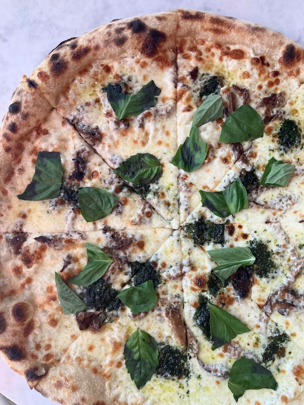 Pizza Kat | restaurant | 2174 W Burnside St, Portland, OR 97210, USA | 5033100011 OR +1 503-310-0011