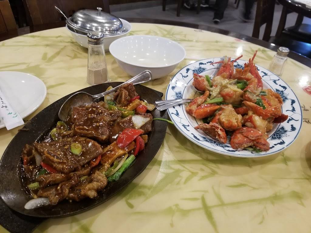 Dragon City | meal takeaway | 6706 Stirling Rd, Hollywood, FL 33024, USA | 9548948393 OR +1 954-894-8393