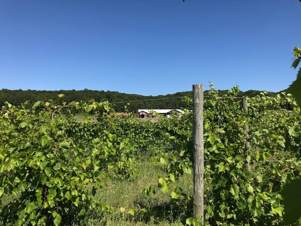 Mackinaw Trail Winery & Brewery - Petoskey | restaurant | 3423 US-131, Petoskey, MI 49770, USA | 2314871910 OR +1 231-487-1910