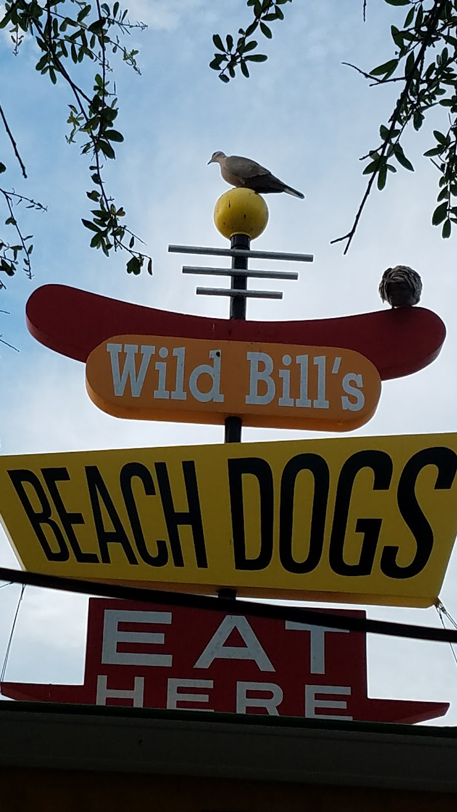 Wild Bills Beach Dogs | restaurant | 2235 E County Hwy 30A, Santa Rosa Beach, FL 32459, USA | 8502310802 OR +1 850-231-0802