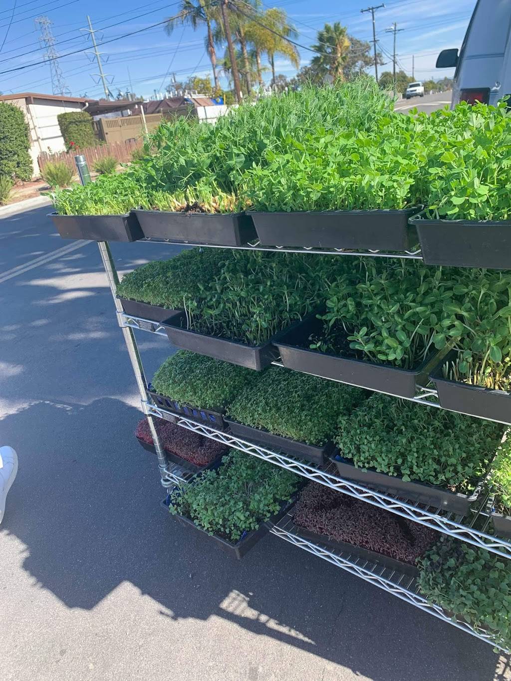 Microgreens R Us | restaurant | 4871 Conrad Ave, San Diego, CA 92117, USA | 8586100333 OR +1 858-610-0333