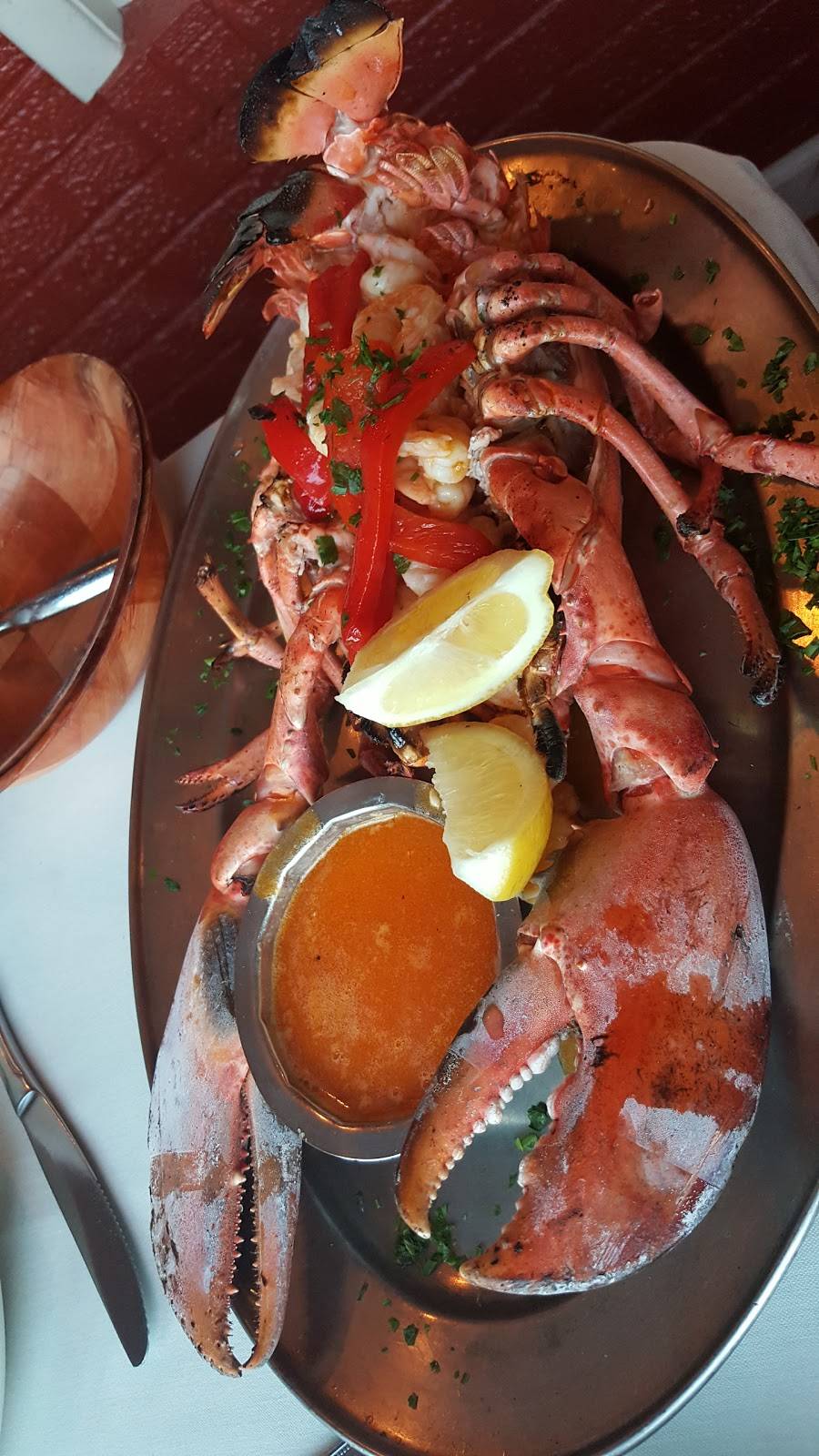 Mediterranean 2000 | restaurant | 8026 Bustleton Ave, Philadelphia, PA 19152, USA | 2157422000 OR +1 215-742-2000