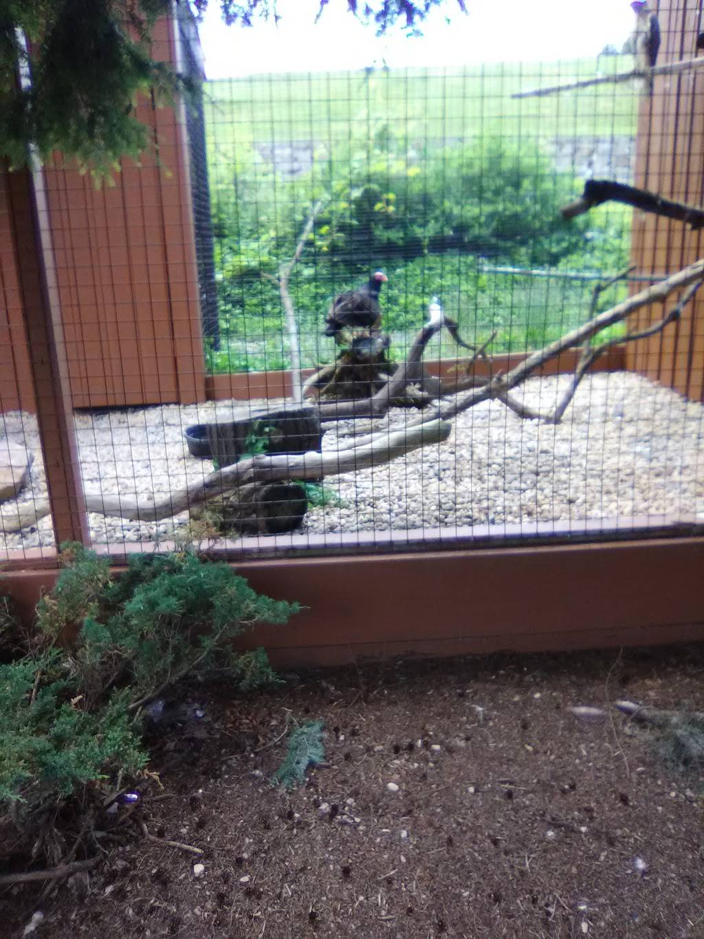 Culinary Experts | restaurant | 1825 W Chew St, Allentown, PA 18104, USA | 6108200800 OR +1 610-820-0800