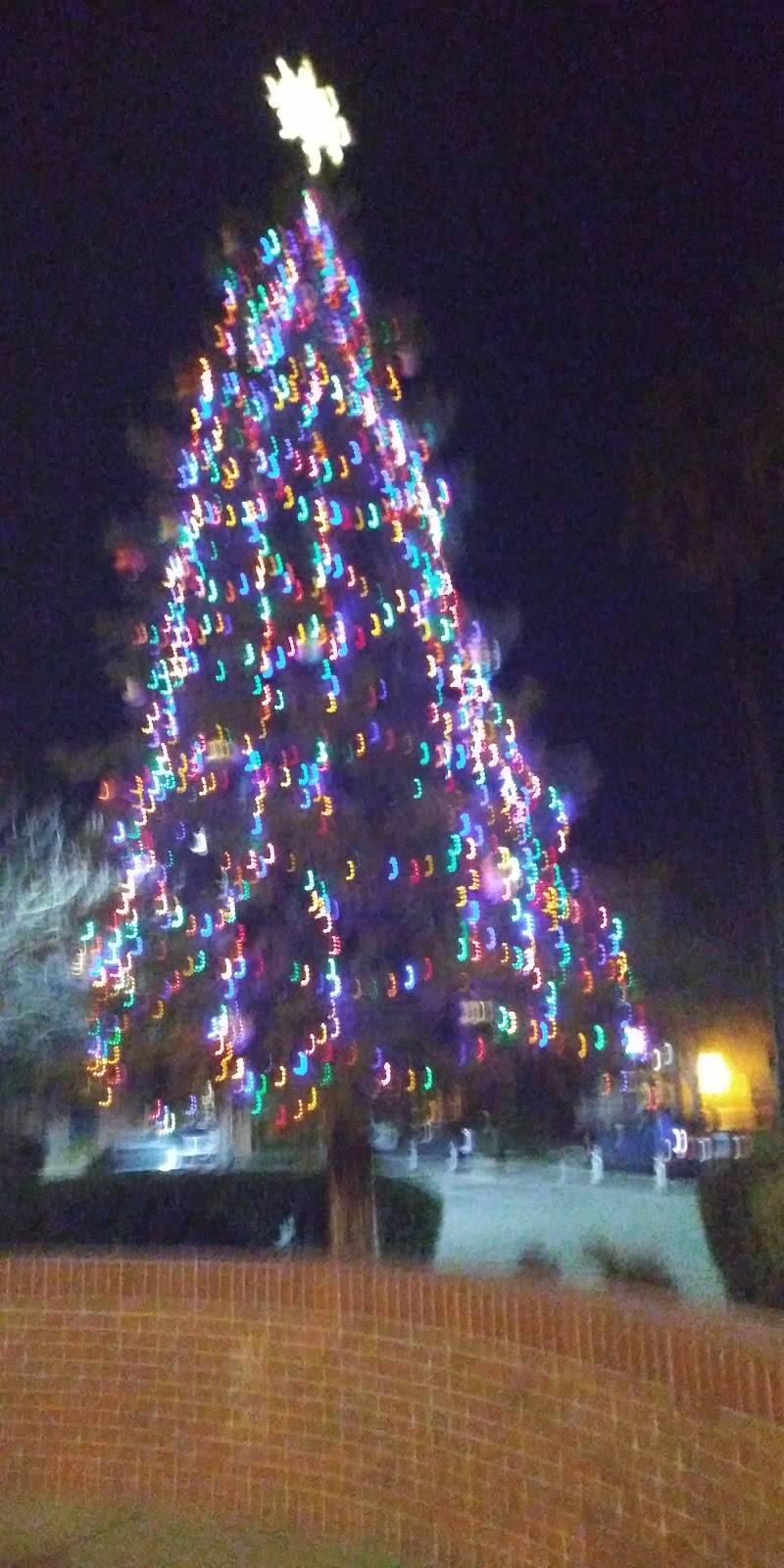 Chicago Restaurant | restaurant | 411 Main St, Woodland, CA 95695, USA | 5306622292 OR +1 530-662-2292