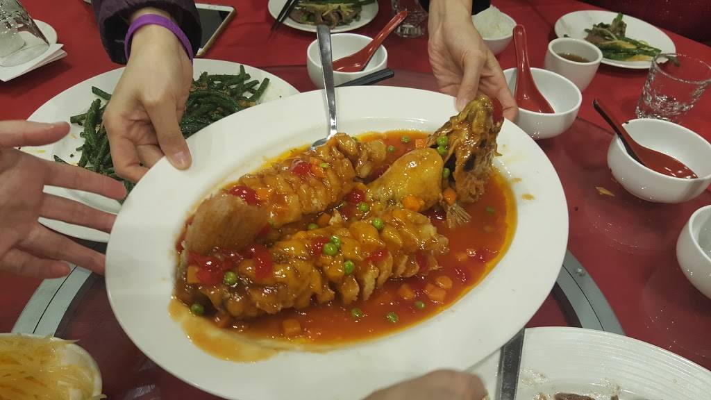 Qingdao | restaurant | 40-46 Main St, Flushing, NY 11354, USA | 3477320929 OR +1 347-732-0929