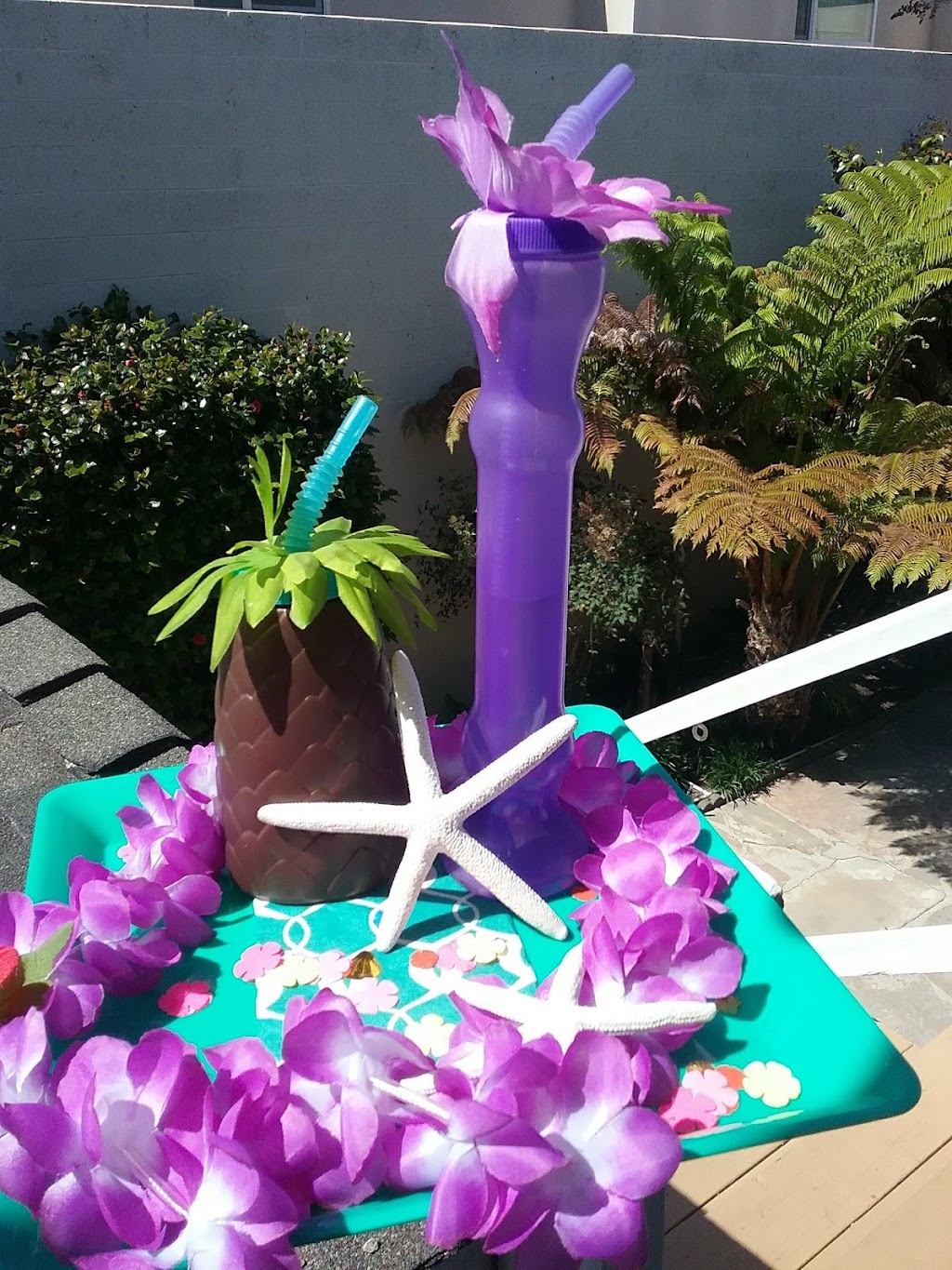 I love Laguna Tours & Events | night club | 550 S Coast Hwy #1, Laguna Beach, CA 92651, USA | 6266891847 OR +1 626-689-1847