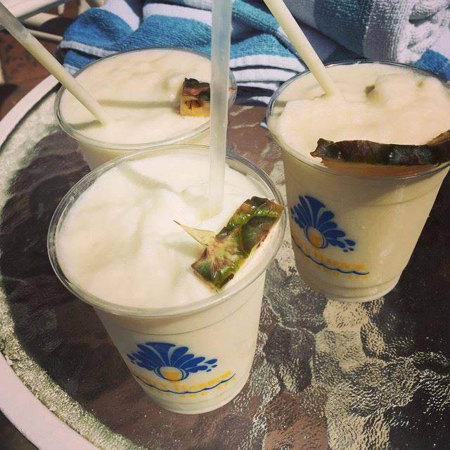 Parthenon Waterfront Tiki Bar | restaurant | 3124, 105 N Bayshore Dr, Safety Harbor, FL 34695, USA | 7277261161 OR +1 727-726-1161