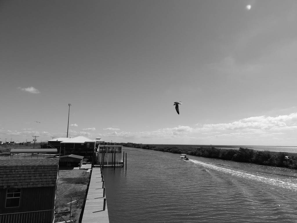 Harbor Light Marina | restaurant | 8239 LA-56, Chauvin, LA 70344, USA | 9854663167 OR +1 985-466-3167