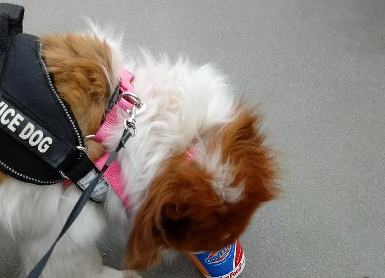 Dairy Queen | restaurant | 711 N 3rd Ave, Marshalltown, IA 50158, USA | 6417522712 OR +1 641-752-2712