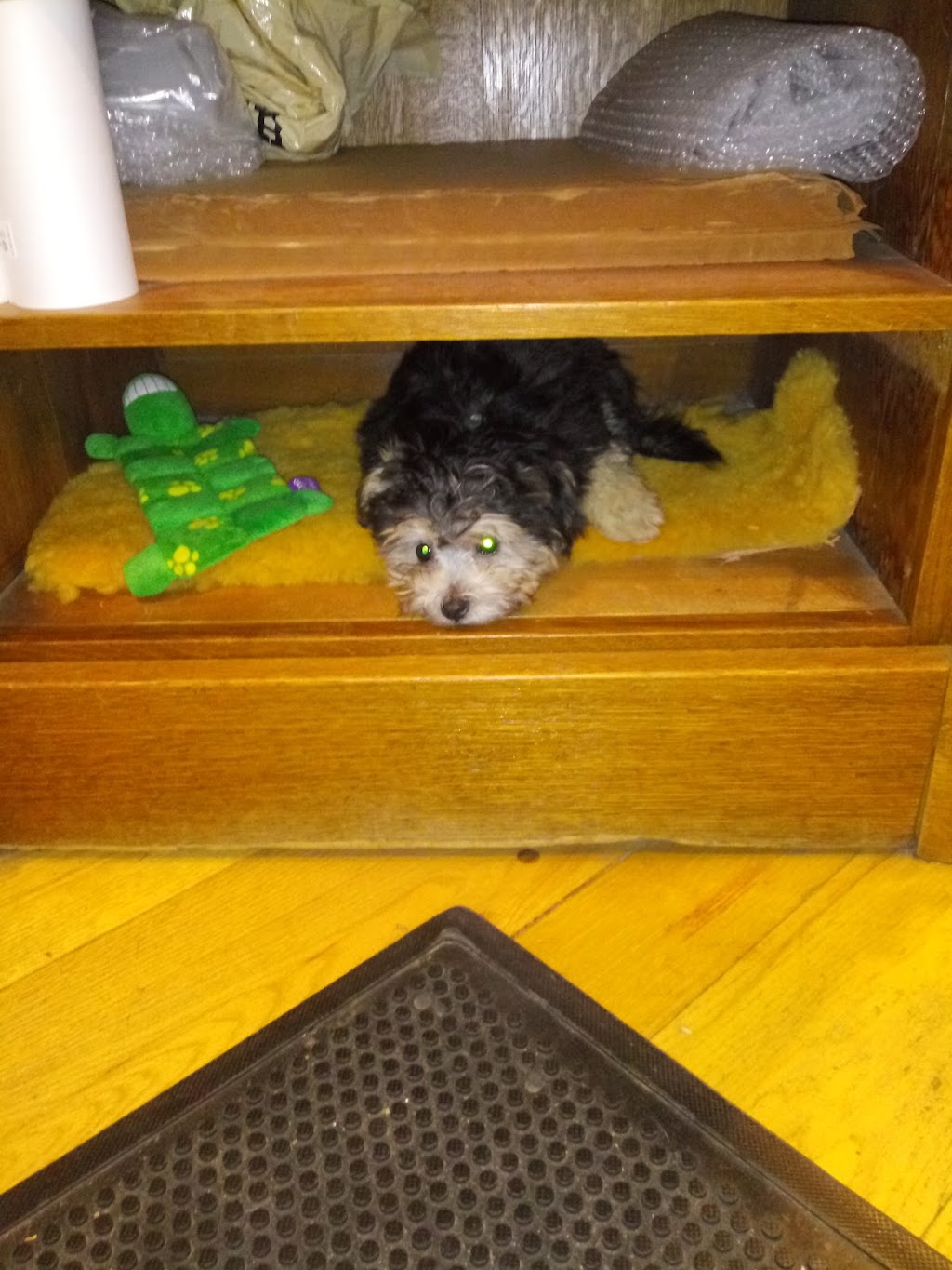 Hamley Cafe | cafe | 8 SE Court Ave, Pendleton, OR 97801, USA | 5412781100 OR +1 541-278-1100