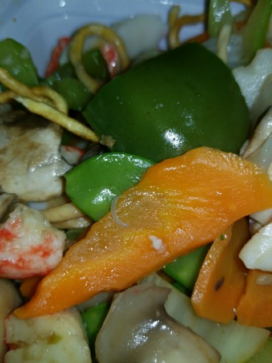 East China | restaurant | 5216 Broadview Rd, Parma, OH 44134, United States | 2163518889 OR +1 216-351-8889