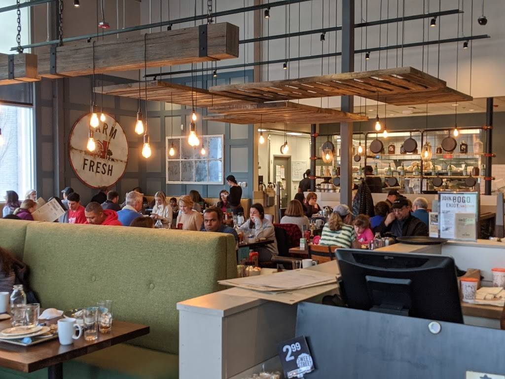 First Watch - Livonia | restaurant | 19740 Haggerty Rd, Livonia, MI 48154, USA | 7342011265 OR +1 734-201-1265