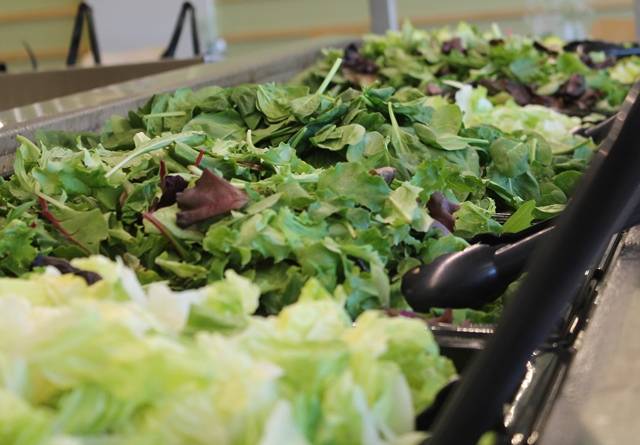 The Salad Station | restaurant | 13811 W Hillsborough Ave, Tampa, FL 33635, USA | 8134254400 OR +1 813-425-4400