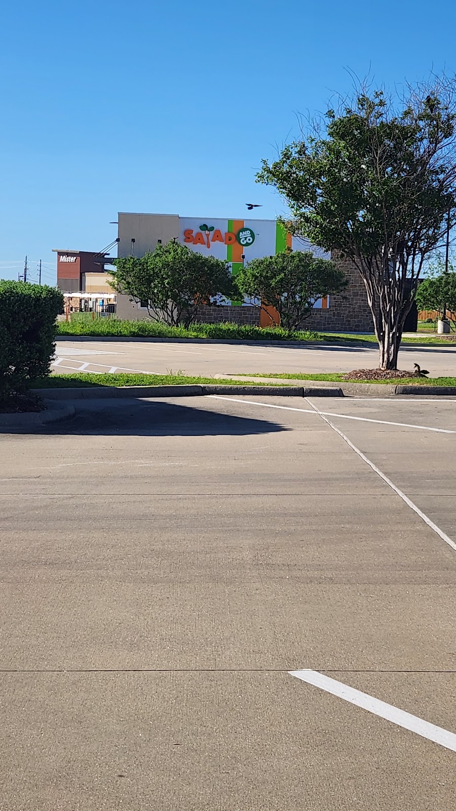 Salad and Go | restaurant | 1718 Spring Green Blvd, Katy, TX 77494, USA | 2816014115 OR +1 281-601-4115