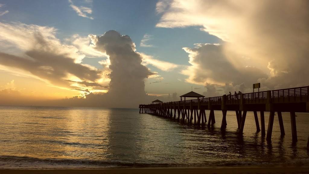 DolyOcean Group | restaurant | 346 E 25th St, West Palm Beach, FL 33404, USA | 5613092685 OR +1 561-309-2685