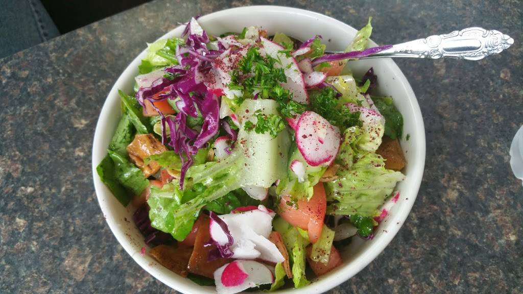 Hamido | restaurant | 13251 W Warren Ave, Dearborn, MI 48126, USA | 3135820660 OR +1 313-582-0660