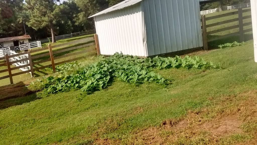 Dominos Pizza | meal delivery | 803 N Collins Blvd, Covington, LA 70433, USA | 9858922992 OR +1 985-892-2992