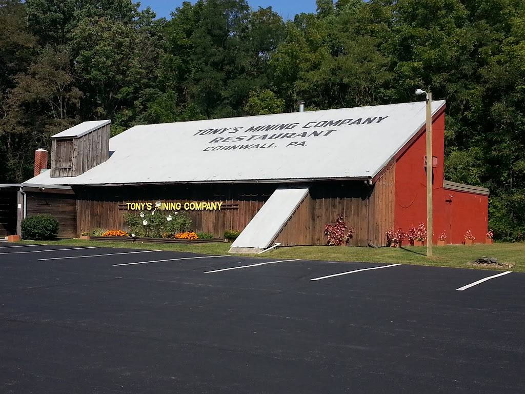 Tony’s Mining Company Restaurant | restaurant | 211 Rexmont Rd, Lebanon, PA 17042, USA | 7172734871 OR +1 717-273-4871