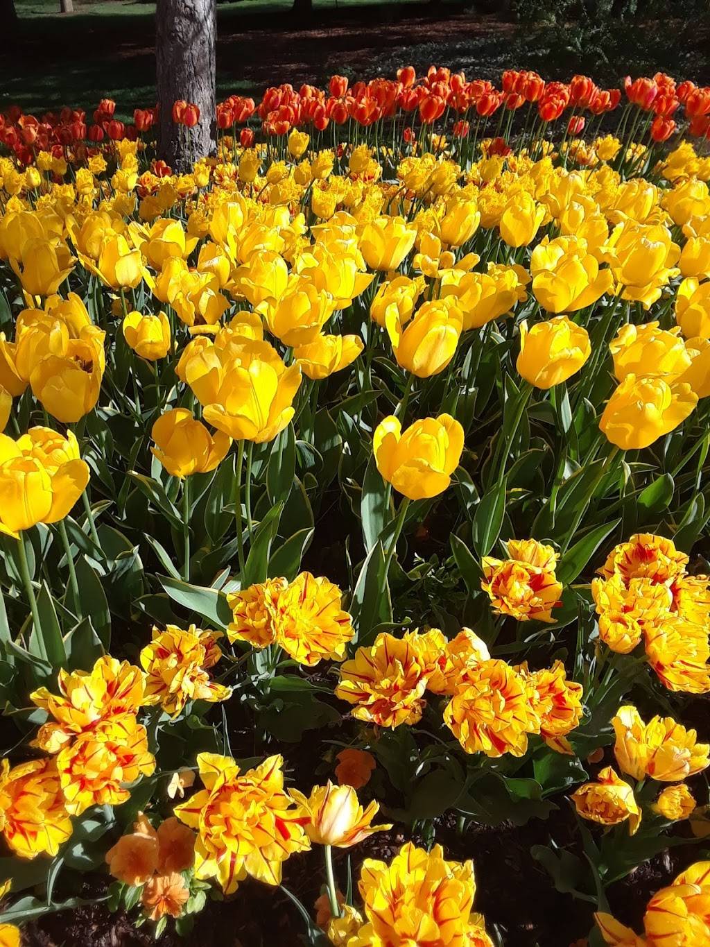 Thanksgiving Point Golf Club | restaurant | 3300 W Club House Dr, Lehi, UT 84043, USA | 8017687400 OR +1 801-768-7400