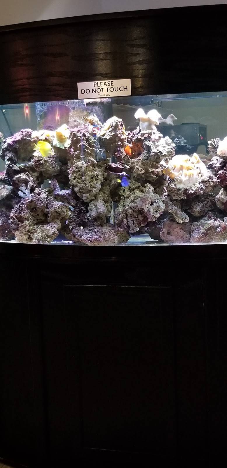 Pacileos Apizza & Pasta | restaurant | 285 Foxon Rd, North Branford, CT 06471, USA | 2032081869 OR +1 203-208-1869