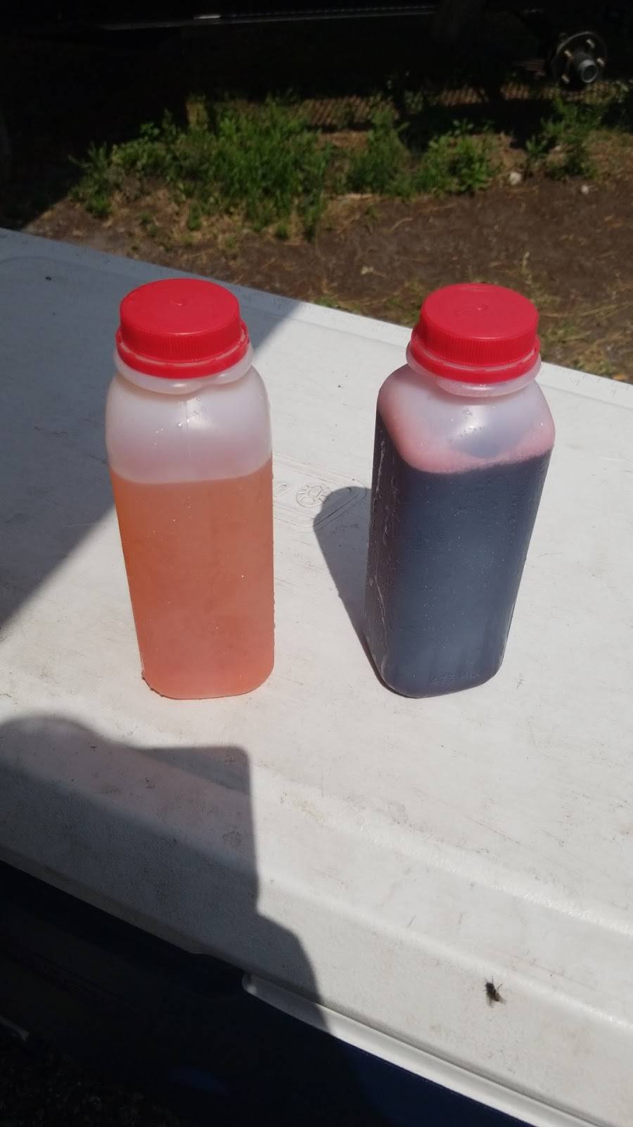 Everything Jerk | restaurant | 15120 Livingston Ave, Lutz, FL 33559, USA | 8009175375 OR +1 800-917-5375