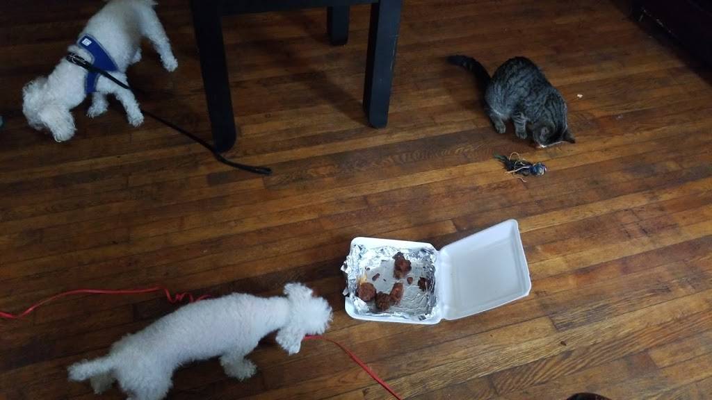 Three Countries Pizzeria | meal delivery | 1626 Dickinson St, Philadelphia, PA 19146, USA | 2152716590 OR +1 215-271-6590