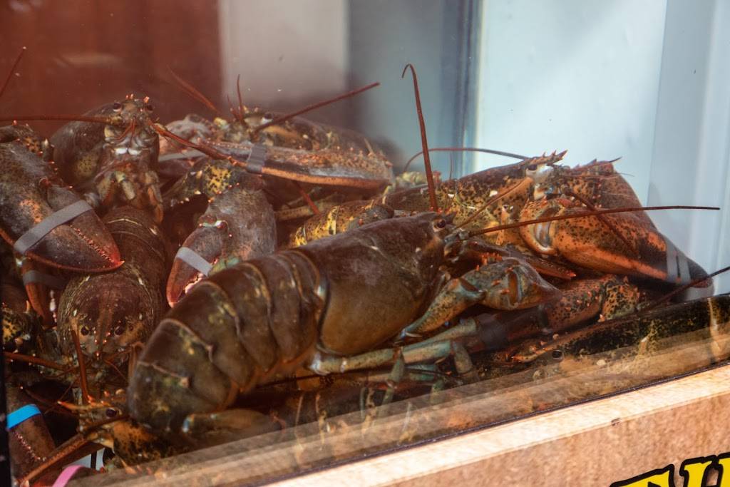 Inn on the Gulf Restaurant | restaurant | 1385, 6330 Clark St, Hudson, FL 34667, USA | 7278685623 OR +1 727-868-5623