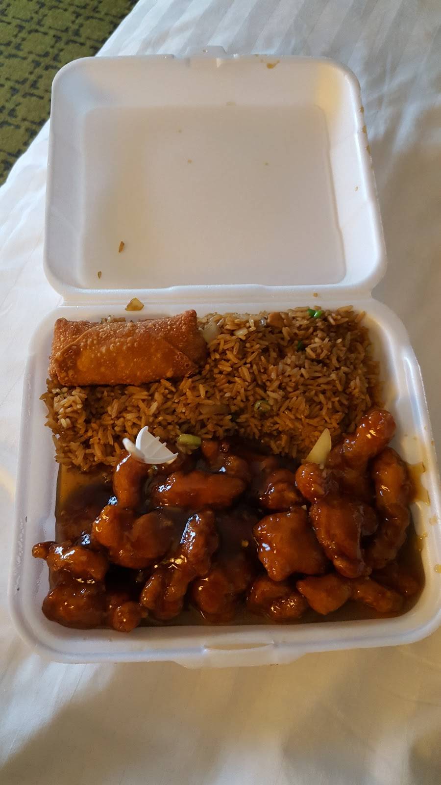 New China Garden Restaurant | restaurant | 12322 Largo Dr, Savannah, GA 31419, USA | 9129203028 OR +1 912-920-3028