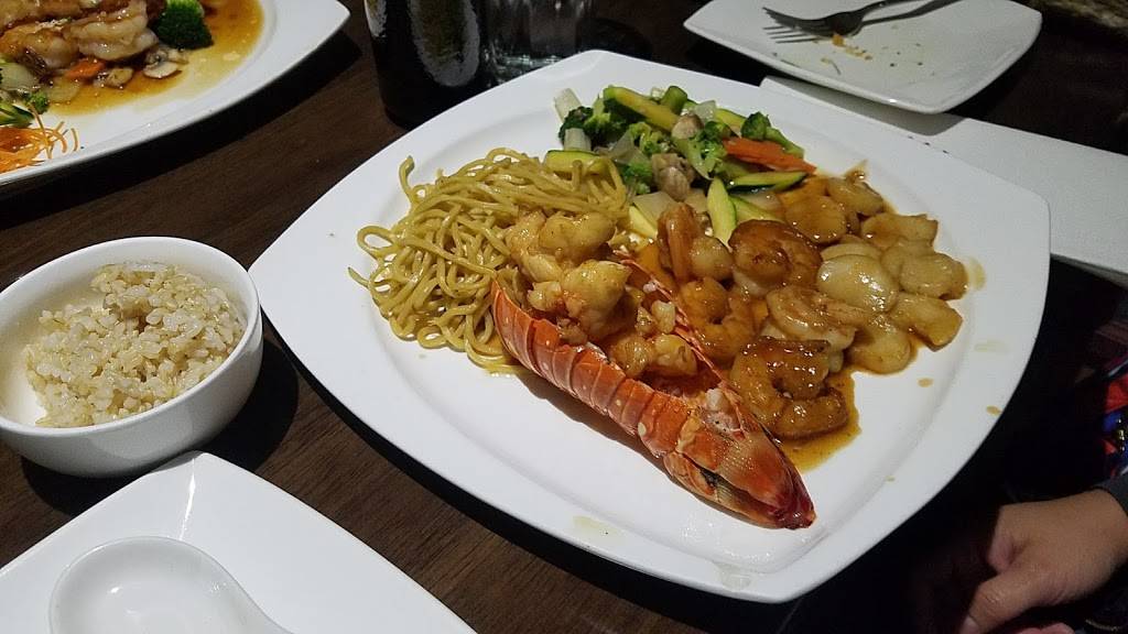 Ocean Asian Cuisine | restaurant | 288 Egg Harbor Rd STE #8, Sewell, NJ 08080, USA | 8568633688 OR +1 856-863-3688