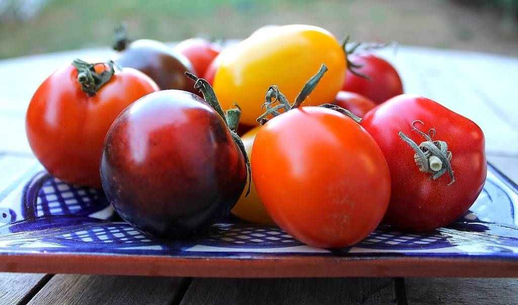 Tilth Restaurant | restaurant | 1411 N 45th St, Seattle, WA 98103, USA | 2066330801 OR +1 206-633-0801