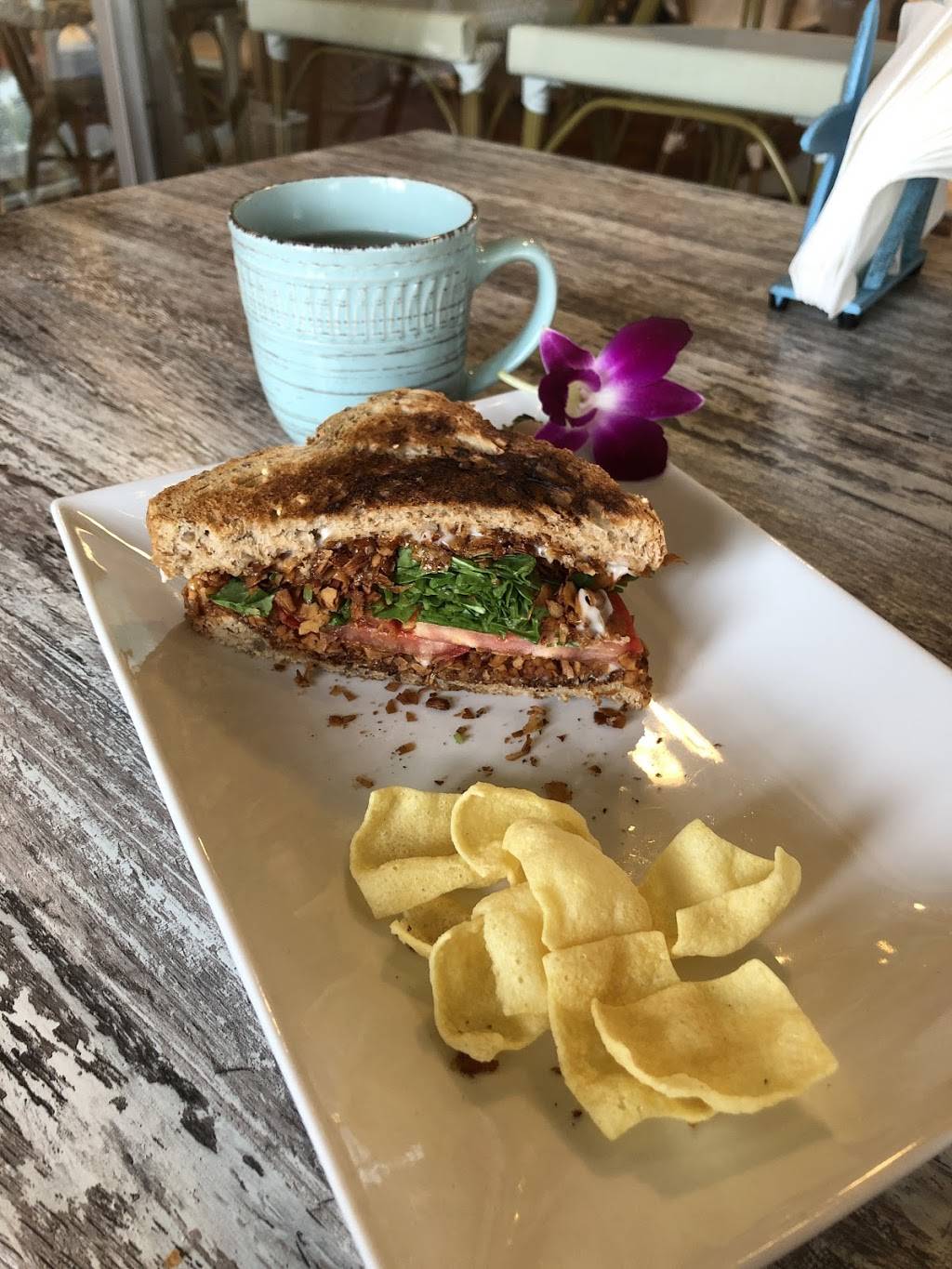 Sanibel Sprout | restaurant | Baileys Center, 2463 Periwinkle Way, Sanibel, FL 33957, USA | 2394724499 OR +1 239-472-4499