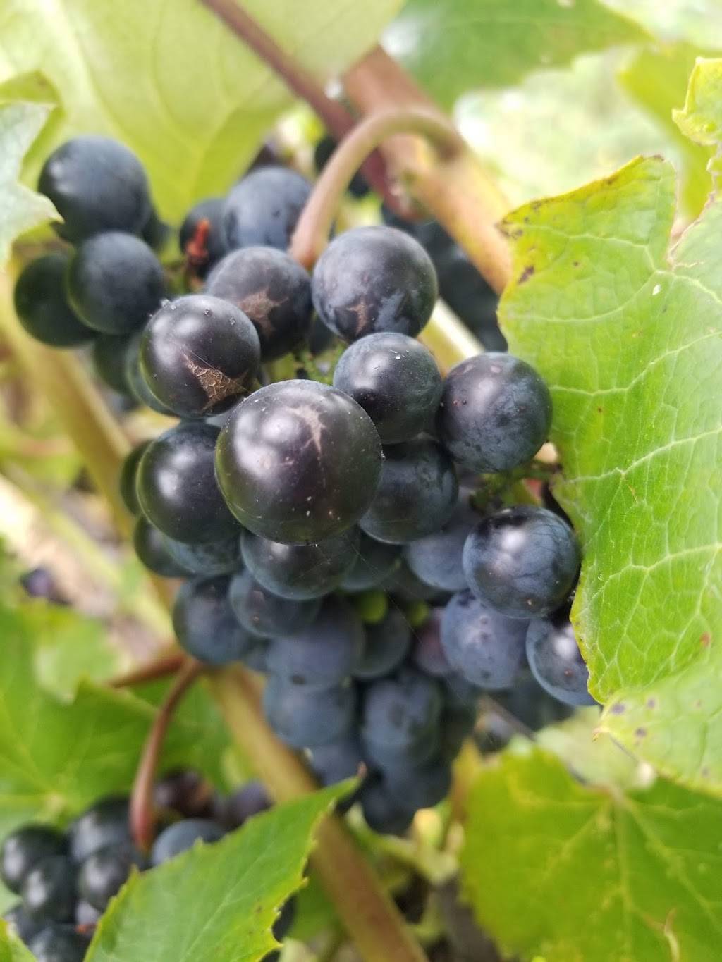 Vignoble Bouche-Art | restaurant | 17 Boulevard de lAssomption, Repentigny, QC J6A 1A3, Canada | 5146558673 OR +1 514-655-8673