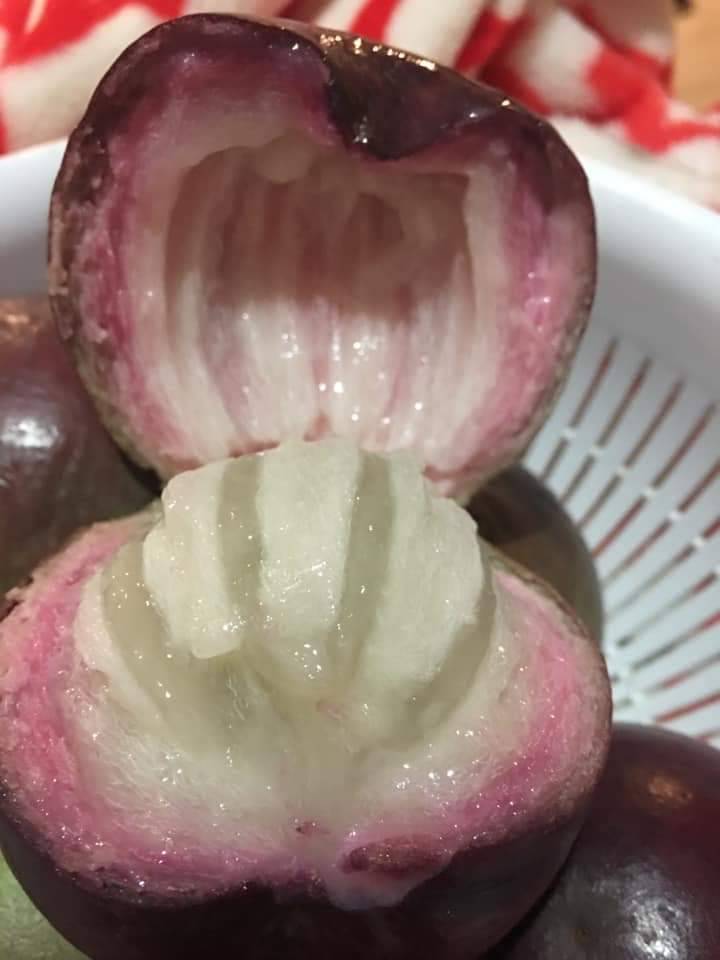 Subway Restaurants | restaurant | 10680 Balboa Blvd, Granada Hills, CA 91344, USA | 8183662422 OR +1 818-366-2422